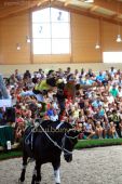 Filename=pezinok2012_27389.jpg
Filesize=337KiB
Dimensions=533x800
Date added=Aug 31, 2012 pezinok2012_27389.jpg