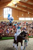 Filename=pezinok2012_28398.jpg
Filesize=420KiB
Dimensions=533x800
Date added=Aug 31, 2012 pezinok2012_28398.jpg