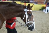 Filename=alsfeld2012_00004.jpg
Filesize=103KiB
Dimensions=800x533
Date added=Jul 26, 2012 alsfeld2012_00004.jpg