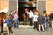 Filename=alsfeld2012_00164.jpg
Filesize=163KiB
Dimensions=800x533
Date added=Jul 26, 2012 alsfeld2012_00164.jpg