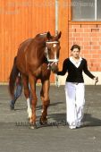 Filename=alsfeld2012_00200.jpg
Filesize=142KiB
Dimensions=533x800
Date added=Jul 26, 2012 alsfeld2012_00200.jpg
