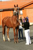 Filename=alsfeld2012_00211.jpg
Filesize=149KiB
Dimensions=533x800
Date added=Jul 26, 2012 alsfeld2012_00211.jpg