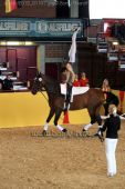 Filename=alsfeld2012_01107.jpg
Filesize=142KiB
Dimensions=533x800
Date added=Jul 26, 2012 alsfeld2012_01107.jpg