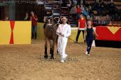 Filename=alsfeld2012_01344.jpg
Filesize=164KiB
Dimensions=800x533
Date added=Jul 26, 2012 alsfeld2012_01344.jpg