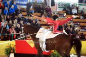 Filename=alsfeld2012_01836.jpg
Filesize=132KiB
Dimensions=800x533
Date added=Jul 26, 2012 alsfeld2012_01836.jpg