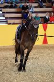Filename=alsfeld2012_02281.jpg
Filesize=142KiB
Dimensions=533x800
Date added=Jul 26, 2012 alsfeld2012_02281.jpg