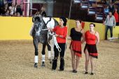 Filename=alsfeld2012_03309.jpg
Filesize=162KiB
Dimensions=800x533
Date added=Jul 26, 2012 alsfeld2012_03309.jpg