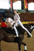 Filename=alsfeld2012_03561.jpg
Filesize=105KiB
Dimensions=533x800
Date added=Jul 26, 2012 alsfeld2012_03561.jpg