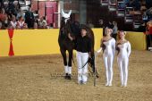 Filename=alsfeld2012_03682.jpg
Filesize=165KiB
Dimensions=800x533
Date added=Jul 26, 2012 alsfeld2012_03682.jpg