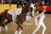 Filename=alsfeld2012_03864.jpg
Filesize=140KiB
Dimensions=800x533
Date added=Jul 26, 2012 alsfeld2012_03864.jpg