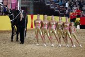 Filename=alsfeld2012_05132.jpg
Filesize=182KiB
Dimensions=800x533
Date added=Jul 26, 2012 alsfeld2012_05132.jpg