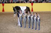 Filename=alsfeld2012_22548.jpg
Filesize=180KiB
Dimensions=800x533
Date added=Jul 26, 2012 alsfeld2012_22548.jpg