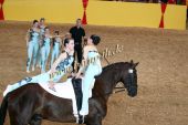 Filename=alsfeld2012_24875.jpg
Filesize=133KiB
Dimensions=800x533
Date added=Jul 26, 2012 alsfeld2012_24875.jpg