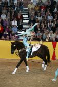 Filename=alsfeld2012_24911.jpg
Filesize=170KiB
Dimensions=533x800
Date added=Jul 26, 2012 alsfeld2012_24911.jpg