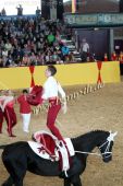 Filename=alsfeld2012_25375.jpg
Filesize=146KiB
Dimensions=533x800
Date added=Jul 26, 2012 alsfeld2012_25375.jpg
