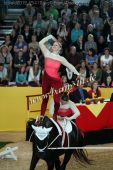 Filename=alsfeld2012_25417.jpg
Filesize=131KiB
Dimensions=533x800
Date added=Jul 26, 2012 alsfeld2012_25417.jpg