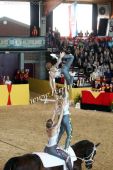 Filename=alsfeld2012_25662.jpg
Filesize=142KiB
Dimensions=533x800
Date added=Jul 26, 2012 alsfeld2012_25662.jpg