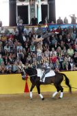 Filename=alsfeld2012_25677.jpg
Filesize=163KiB
Dimensions=533x800
Date added=Jul 26, 2012 alsfeld2012_25677.jpg