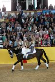 Filename=alsfeld2012_25706.jpg
Filesize=175KiB
Dimensions=533x800
Date added=Jul 26, 2012 alsfeld2012_25706.jpg