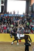 Filename=alsfeld2012_25737.jpg
Filesize=158KiB
Dimensions=533x800
Date added=Jul 26, 2012 alsfeld2012_25737.jpg