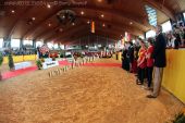 Filename=alsfeld2012_26534.jpg
Filesize=182KiB
Dimensions=800x533
Date added=Jul 26, 2012 alsfeld2012_26534.jpg
