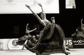 Filename=brno2012_20291.jpg
Filesize=75KiB
Dimensions=800x533
Date added=Nov 08, 2012 brno2012_20291.jpg