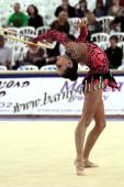 Filename=holon11_09175.jpg
Filesize=304KiB
Dimensions=533x800
Date added=Mar 16, 2011 holon11_09175.jpg
