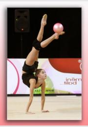 461-Brno 2024
