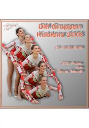 Gruppen Koblenz 2008 